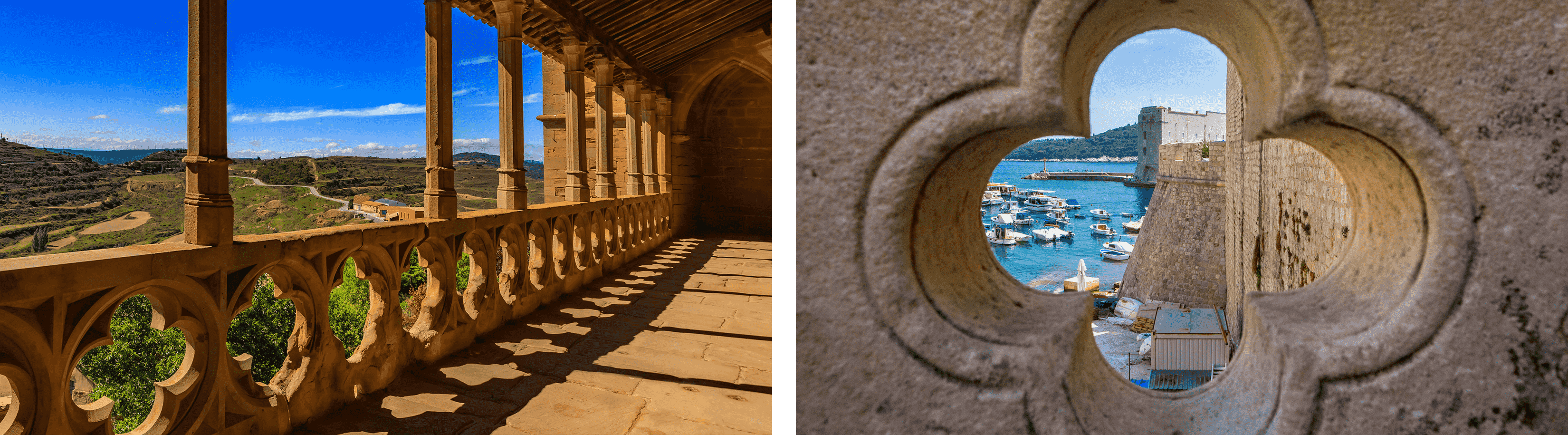 Orthosnap brand inspiration - sacred geometry